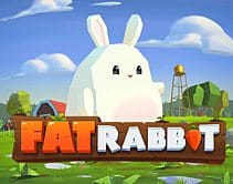 Fat Rabbit